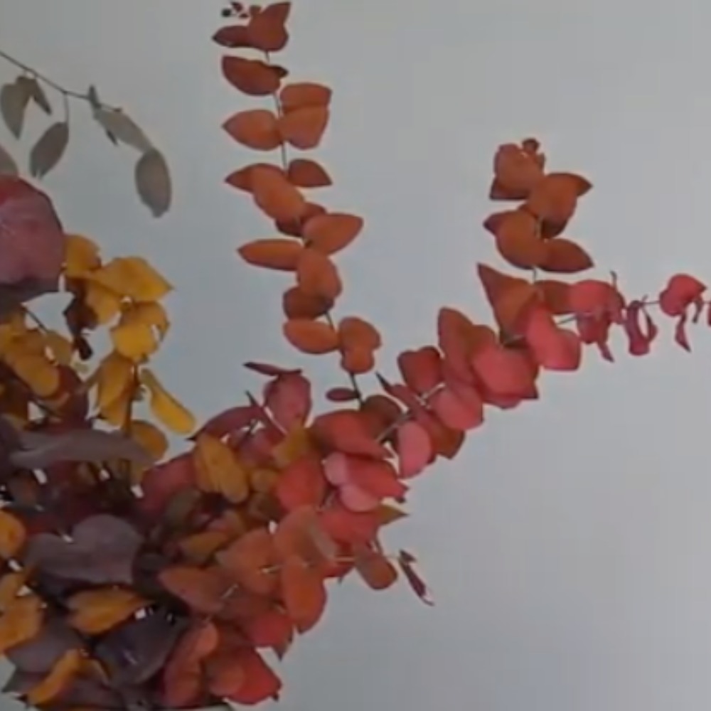 Meet your Posher, Mingming